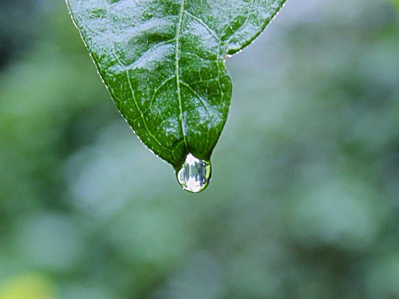 TikTok批量起号<br>多账号矩阵搭建快速做权重